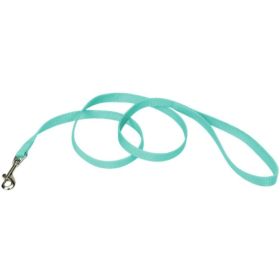 Coastal Pet Single-ply Teal Nylon Dog Lead - 4'L x 5/8"W