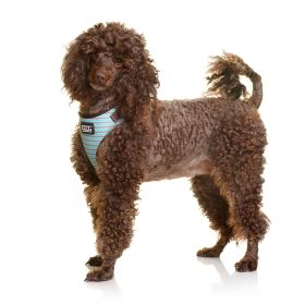 Neoflex Dog Harness Benji (Color: Blue/Grey, size: large)