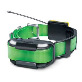 Pathfinder2 Extra Receiver Collar (Color: Green)